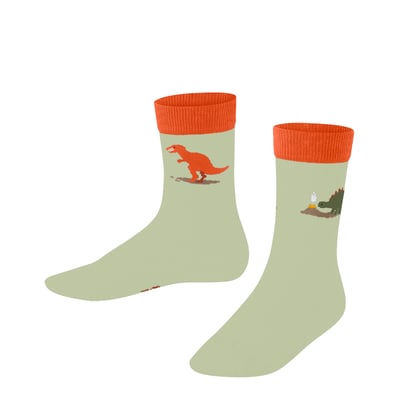 Chaussettes Dinosaurs FALKE