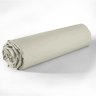 Drap housse coton uni 90 x 190 cm Passion anthracite EDEN
