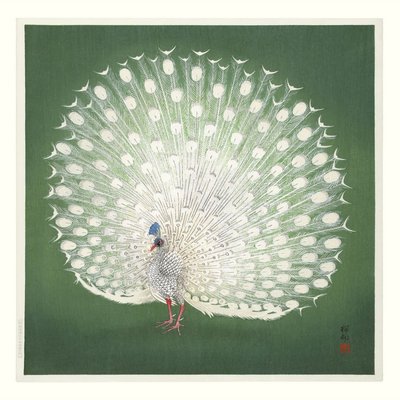 Poster dessin japonais Ukiyo-E  Peacock On Green THE DYBDAHL CO