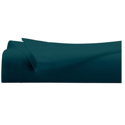 Drap plat percale Collection Grand Confort EDEN
