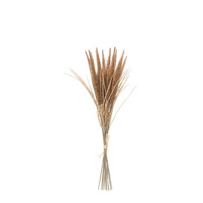 Bouquet de pampa 12 tiges artificielle H50 SIA