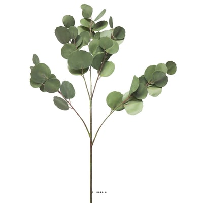 Branche d’Eucalyptus artificielle, ARTIFICIELLES