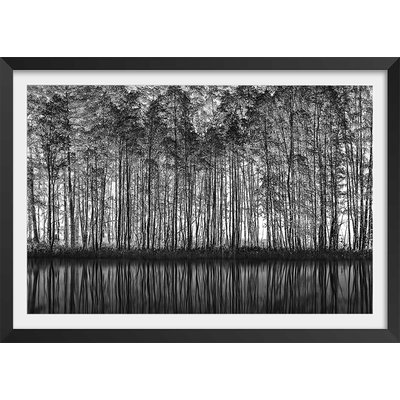 Affiche nature pointillisme HEXOA