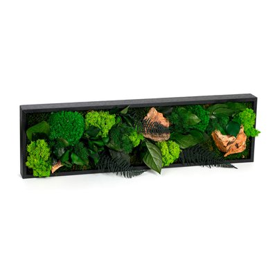 Grand tableau végétaux stabilisés 20x70 NATURE ET DECOUVERTES