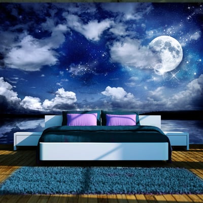 Papier peint intissé panoramique Paysage Nuit magique EDEN
