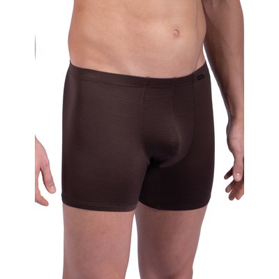 Boxer RED1201 OLAF BENZ