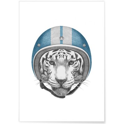 Poster Tigre blanc L'AFFICHERIE