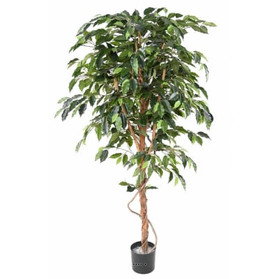 Ficus Benjamina factice grande f ARTIFICIELLES