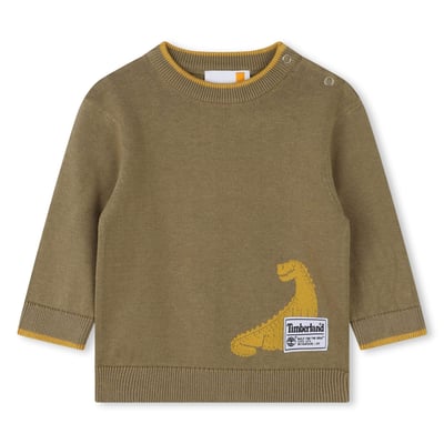 Sweat à Col Rond Garçon - Motif Dinosaure - Manches Longues - Pull Doux Et Confortable - Taille 2 à 14 Ans
