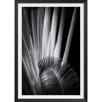 Poster jungle Marbella palm HEXOA