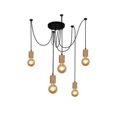 Darby 5 Light Wire Multi-Drop Pendant Ceiling Light SO'HOME