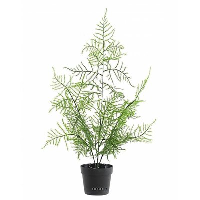 Asparagus artificiel en pot pour extérieur ARTIFICIELLES