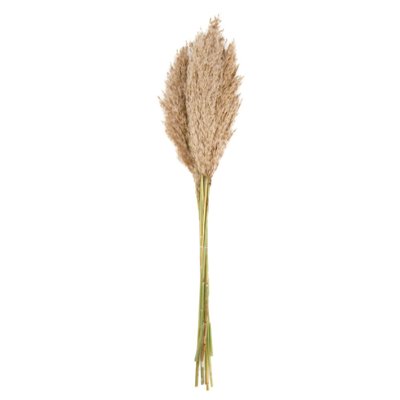 Fleur séchée de pampa naturelle 10 Branches - 65 à 75cm URBAN LIVING