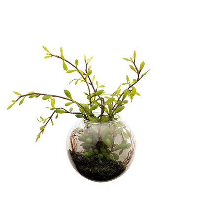 Terrarium avec sedum artificiel H10 SIA DECO