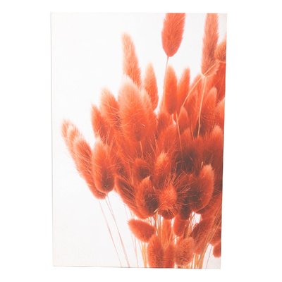 Toile fleurs de pampa   80x120 AMADEUS