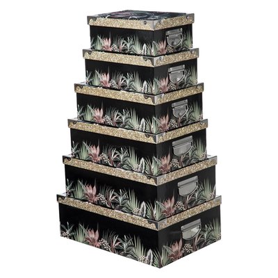 Boite Coins x 6 Lady Jungle 5FIVE SIMPLY SMART