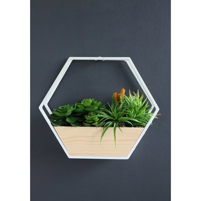30.5cm Artificial Succulents in White Hexagon Planter SO'HOME
