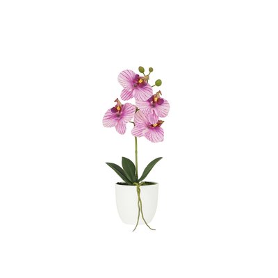Orchidée artificielle veinée 35cm LIGNE DECO