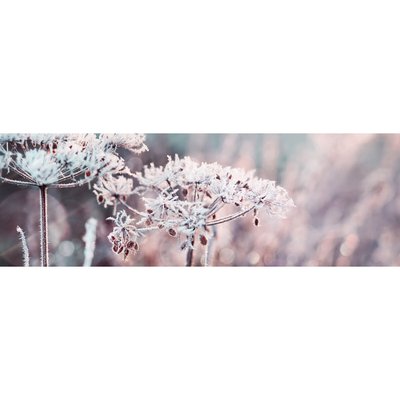 Tableau Sur Toile Fleur Enneigée HIVERNAL CEANOTHE