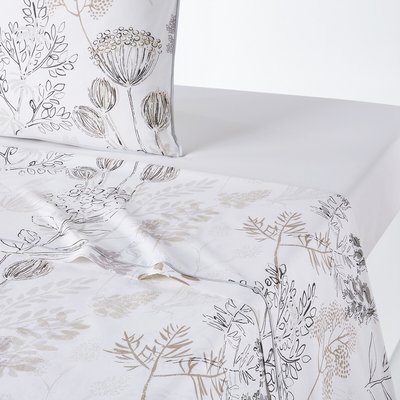 Bettlaken Romarin, Baumwolle LA REDOUTE INTERIEURS
