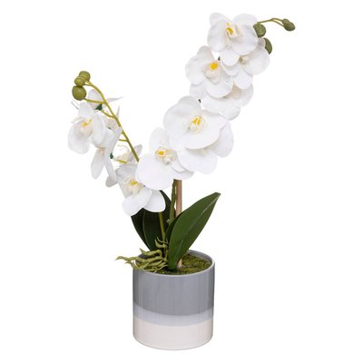 Orchidée artificielle ATMOSPHERA