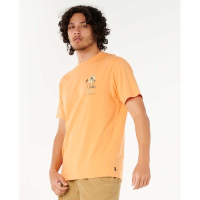 T-Shirt AOTS - CODY WELSH PALMS TEE RIP CURL