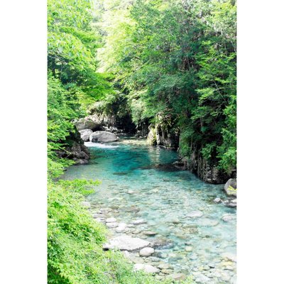 Tableau mural ruisseau turquoise CEANOTHE