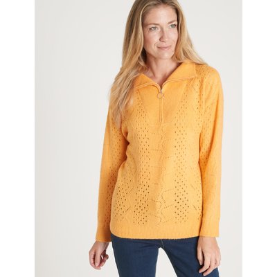Pull col camionneur zippé DAXON