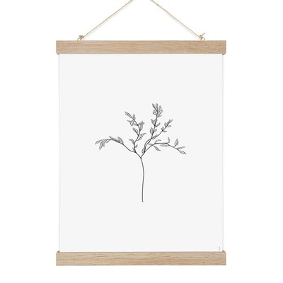 Herbarium White I, Affiche seule 50cm x 70cm COTTON BIRD