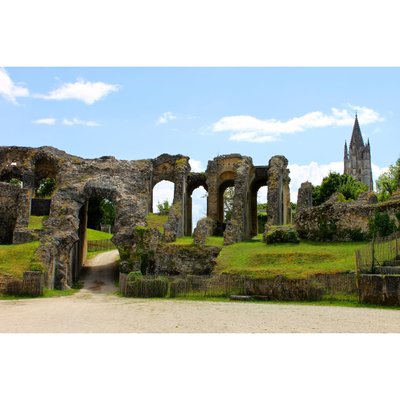 Tableau Sur Toile Arènes Saintes CEANOTHE