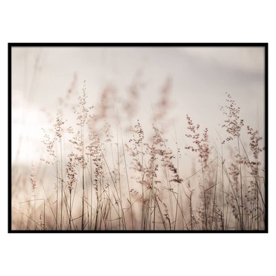 Toile imprimée BIANCA ATMOSPHERA