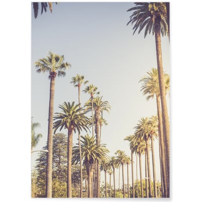 Poster Palmiers de Beverly Hills L'AFFICHERIE
