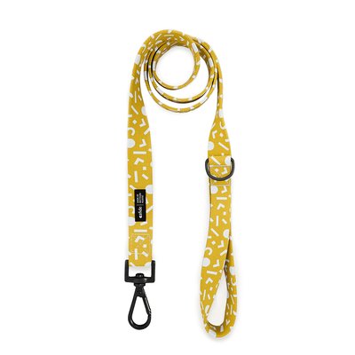 Laisse PET recyclé memphis design, JUNO CAFIDE