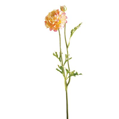 Tige de renoncule artificielle H36 SIA DECO
