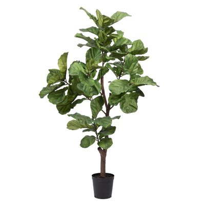 Ficus Lyrata   198 cm-STAM AMADEUS