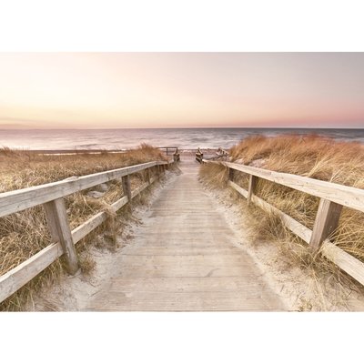 Tableau Mural Vers La Mer PLAGE CEANOTHE