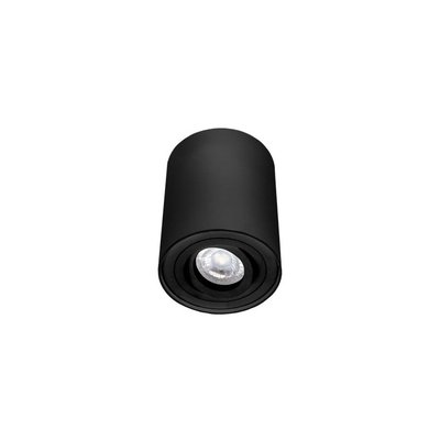 Spot Cylindrique Noir Orientable Essence MILLUMINE