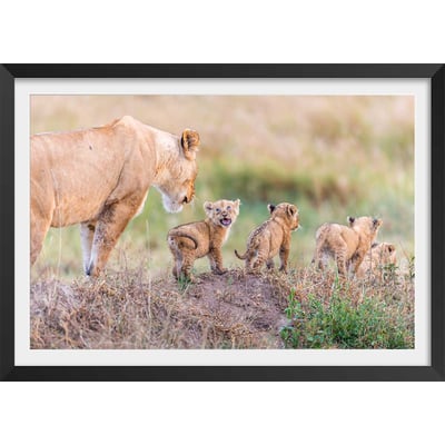 Affiche animaux let's go mom HEXOA