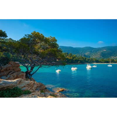 Tableau Sur Toile Crique Du Lavandou MER CEANOTHE