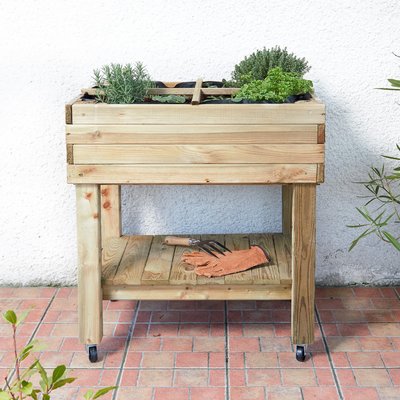 Potager sur pied en bois CEMONJARDIN