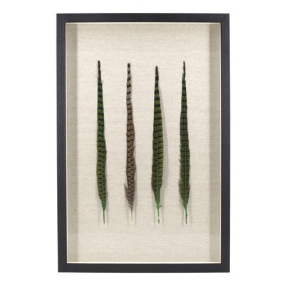 Tableau plumes DECORATION D’AUTREFOIS