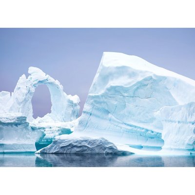 Tableau mural iceberg CEANOTHE