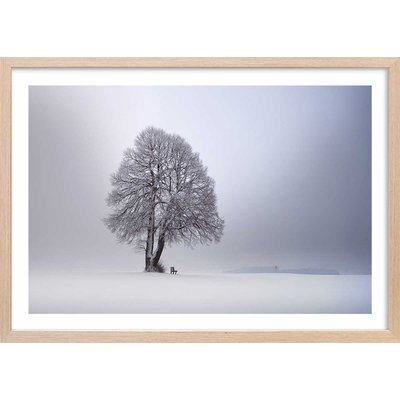 Affiche paysage Lumière d' hiver HEXOA