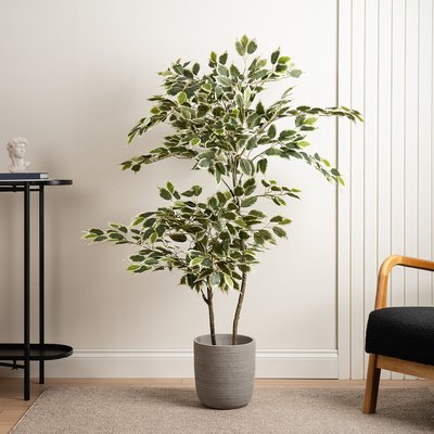 145cm Artificial Variegated Ficus Tree in White Pot SO'HOME