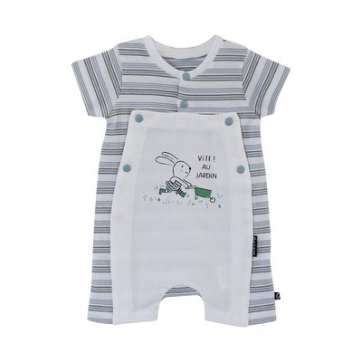 Combicourt naissance edern SUCRE D'ORGE