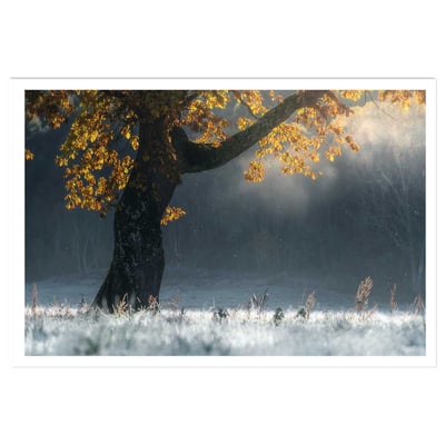 Affiche paysage Souffle d'hiver HEXOA