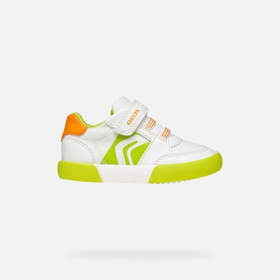 Baskets  B GISLI GEOX
