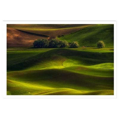 Affiche Colline USA HEXOA