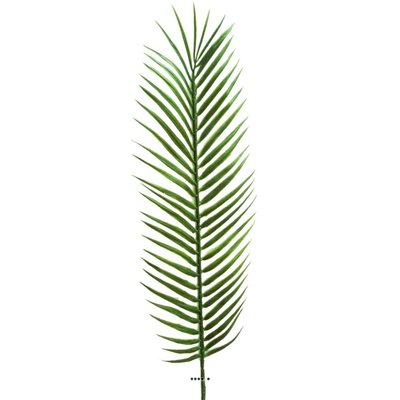 Feuille de palmier Cycas x6 H57cm Plastique e ARTIFICIELLES