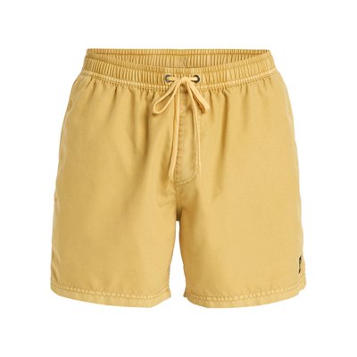 Short de bain Surfwash Everyday QUIKSILVER